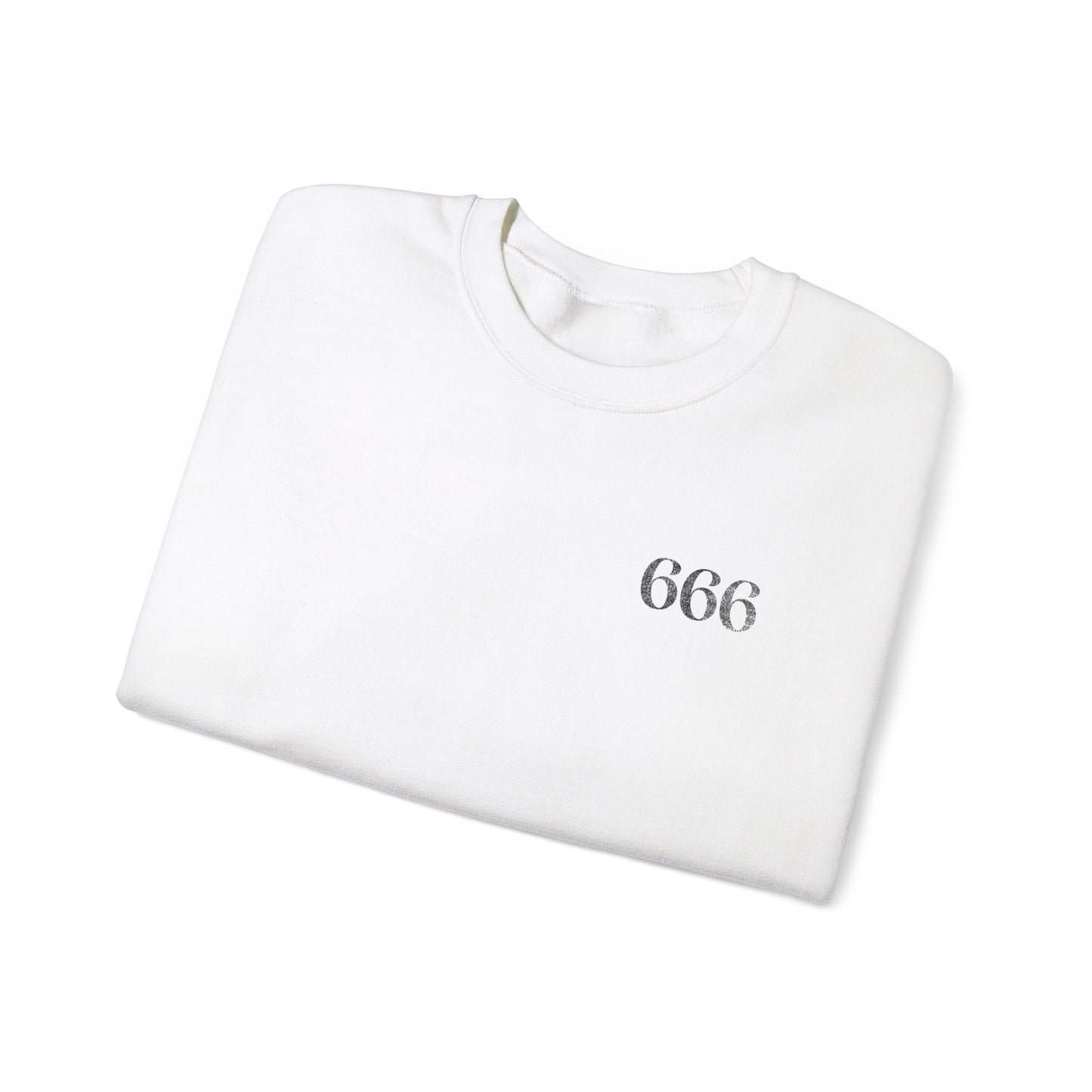 666 Reflection