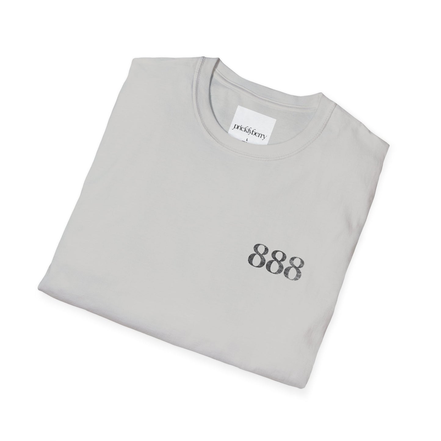 888 Balance